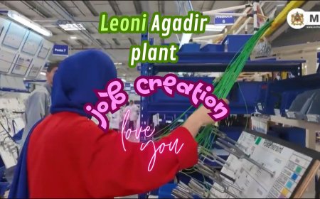 German Automotive Giant Leoni Opens New Plant in Agadir, Boosting Morocco's Automotive Sector (video)
