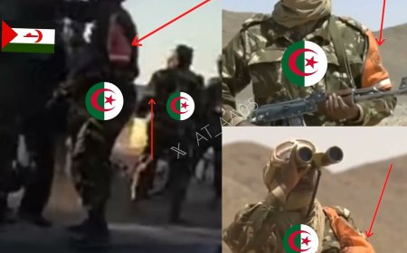 Clashes Erupt Between Polisario Forces and Algerian Army in Tindouf (video)