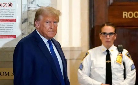 Satirical Petition Urges Denmark to Buy California in Response to Trump's Greenland Interest