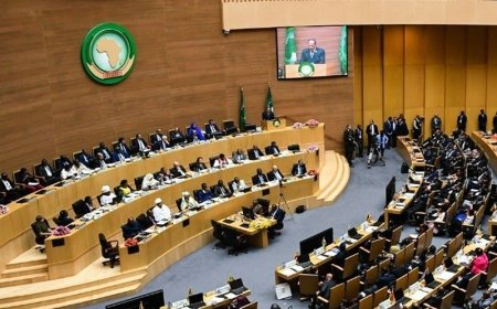Algeria Suffers Setback at African Union in Bid for Peace and Security Council Seat