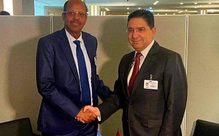 'Mahmoud Ali Youssouf" Djibouti's Foreign Minister Wins African Union Commission Chairmanship