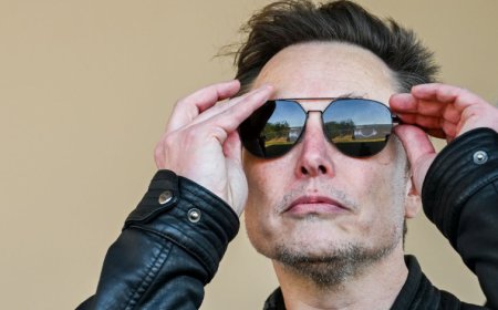 An activist named Ashley St. Clair claims she gave birth to Elon Musk's child.