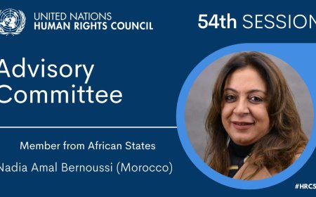 Morocco's Nadia Amal Bernoussi Elected to Head the Human Rights Council Advisory Committee in Geneva