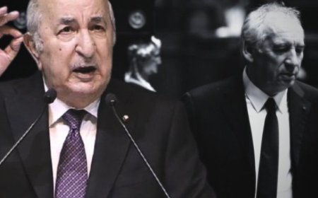 Detailed Report: Analysis of France’s Entry Ban on Algerian Officials