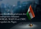Niger Orders Chinese Oil Executives from Soraz, Wapco, and CNPC to Leave Within 48 Hours