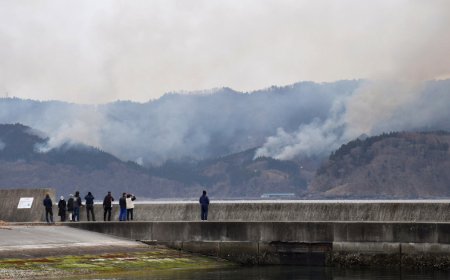 Japan Battles Worst Forest Fire in 50 Years, Causing Evacuations and One Death