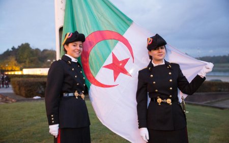 Franco-Algerian Tensions Escalate: Algeria Slams France Over "Provocative" Military Exercise Plan
