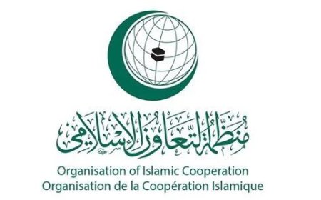 Extraordinary OIC Ministerial Meeting Addresses Palestinian Issue with Morocco’s Participation