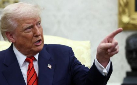 Trump’s Greenland Annexation Talk Embarrasses NATO During White House Meeting