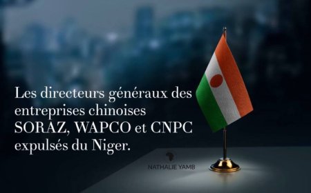 Niger Orders Chinese Oil Executives from Soraz, Wapco, and CNPC to Leave Within 48 Hours