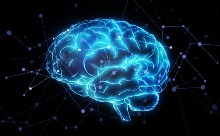 AI Analysis of Real Conversations Reveals Insights into Human Brain Activity and Language Processing