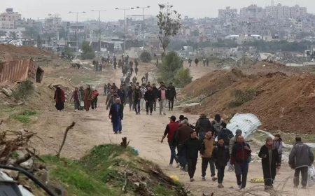 Gaza Death Toll Rises: Hamas Ministry Reports 921 Killed Since Israeli Strikes Resumed