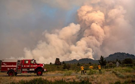 U.S. Wildfires Ravage Over 800 Hectares in North Carolina, Prompting Evacuations