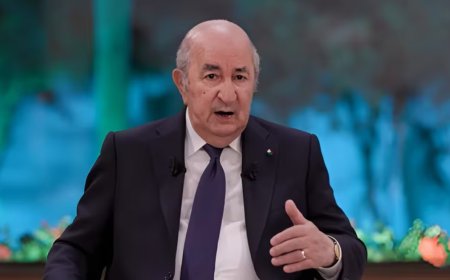 Mali Accuses Algeria of Hostile Act, Appeals to UN Security Council Over Drone Destruction