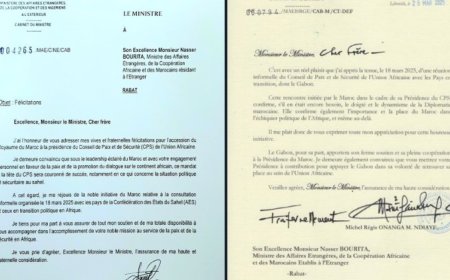 Morocco Gains Recognition from Gabon and Niger for Supporting Sahel and Central African Reintegration into the African Union