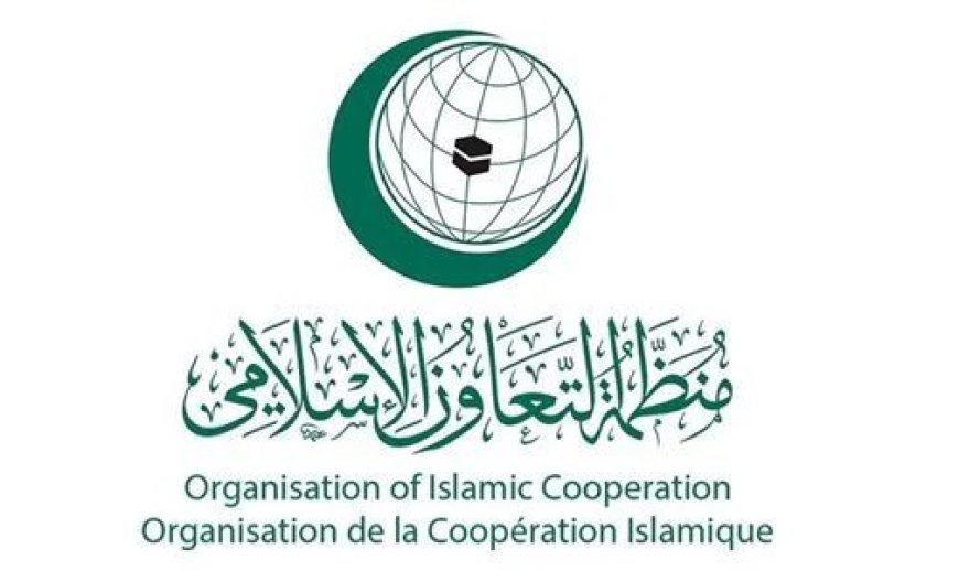 Extraordinary OIC Ministerial Meeting Addresses Palestinian Issue with Morocco’s Participation