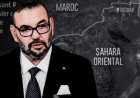 Moroccan Jewish Leader in US Pushes for Eastern Sahara Claim, Says Western Sahara Issue Is Closed