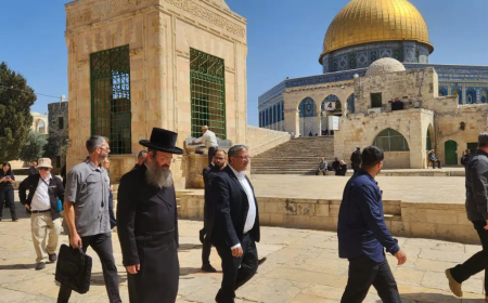 Arab Nations Condemn Israeli Minister’s Visit to Al-Aqsa Mosque Compound