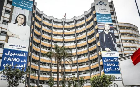 Cyberattack on CNSS: Leaked Documents Found to Be Largely Fake or Inaccurate