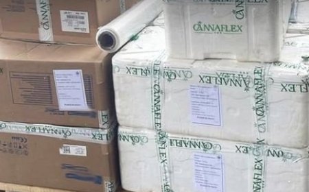 Morocco Launches First Exports of Medical Cannabis, Marking a Milestone in Pharmaceutical Industry