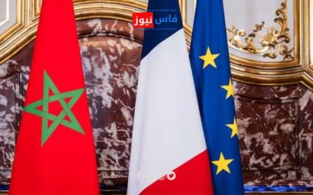 Algerian Migrant Arrested After Threats and Assault at Moroccan Consulate in Marseille