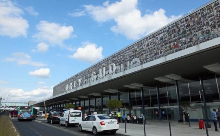 115 Evacuees from Gaza Arrive at Paris-Orly Airport