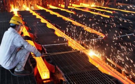 China Launches Egypt's Largest Integrated Steel Industrial Complex with $1.65 Billion Investment